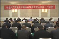 我们的党代会：代表心声