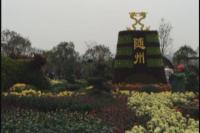 十二届中国菊展 随州园斩获银奖