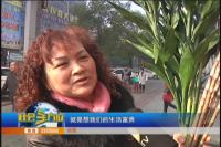 辞旧迎新 你的新年愿望是什么