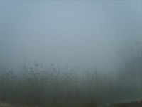 白茫茫一片！湖北遭强浓雾袭击 严重影响春运