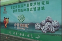 省人大代表雷于国接受多家媒体专访