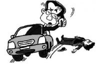 无良司机撞人逃逸 随县交警千里追踪成功侦破