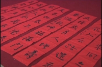 市书协联欢  百副春联迎新春