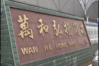 蕙结金兰 蕙兰乡里话蕙兰