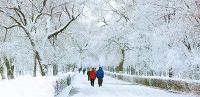 春节湖北天气前暖后冷 后期西部和北部降雪为主