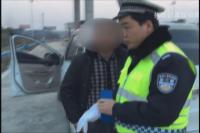 新手实习上高速  超载冲卡被查获