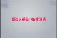 教你几招预防H7N9禽流感