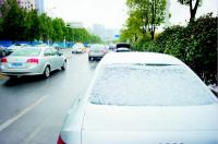 今起湖北转晴高温步步高低温仍在零下