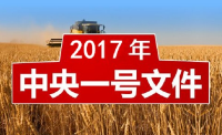 中央一号文件对农民有啥影响？承包关系仍长久不变