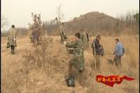 农民汪强国的“青山梦”