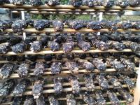 三里岗派出所积极开展“蜡棒袋料” 集中销毁行动