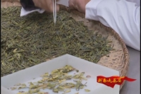 神农茶业根茶公司：牵手“一带一路”发力国际市场