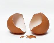 用完的鸡蛋壳千万别扔，不然让你超后悔！