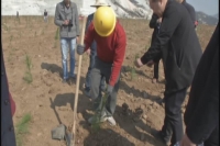 随县：打响矿山整治生态修复攻坚战