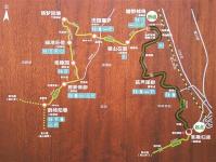 东湖绿道健康跑今起报名 10名优秀选手直通今年汉马