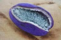 人称水果之王 吃得上的都是土豪 好多都没见到过