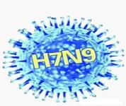 H7N9禽流感在日常生活中如何预防?