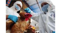预防H7N9禽流感，你了解多少？