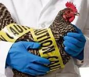 湖北累计报告H7N9病例19例  2例治愈出院