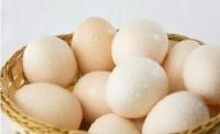 鸡蛋遭遇“本命年” 湖北蛋价跌至7个多月来新低