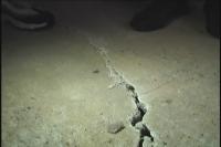 新房地面出现塌陷  户主担忧不敢装修