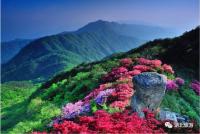 2017跟着诗词游花香湖北，最全湖北赏花线路来袭！