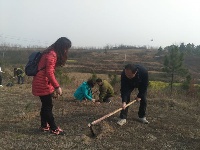 植树节我们在行动|随州广播电视台组织员工义务植树