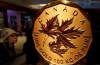 世界最大金币被偷 重达100公斤价值100万美元