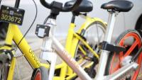 共享单车营销战再升级 摩拜开始花钱请用户骑车