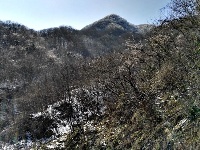 大洪山再降雪 呈“樱花雪约”景观 