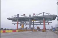 违法运输果树  三货车高速被抓