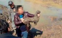 村民扩建鱼塘挖出古墓 内藏精美花纹石板