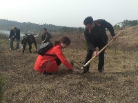 植树节我们在行动|随州广播电视台组织员工义务植树