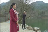大洪山春意归来  百里“樱花雪海”即将绽放