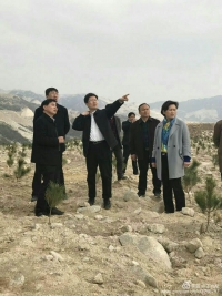 即将逝去的时代符号——随县吴山镇土胚房