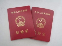 婚姻登记费等41项收费将于4月1日起取消或停征