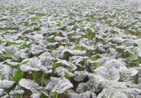 我市农业农村发展精彩开局