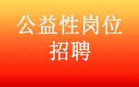 2017年随州市第一批公益性岗位招聘公告 