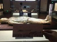 “金缕玉衣”随处可见 网友：是不是把手装反了？ 