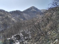 大洪山再降雪 呈“樱花雪约”景观 