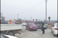 桃花景区交通管制 确保道路通畅