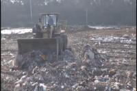 填埋还是焚烧 城区垃圾到底该如何处理