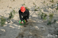 吴山镇极力推进矿山生态复绿工程