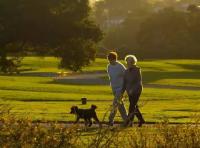 科学的晚上散步  要记得这四条