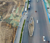 道路最牛钉子树 城市主干道为古树让道 