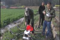 小麦条锈病蔓延  无人机来防治