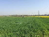 无人植保机防治小麦条锈病