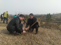 植树节我们在行动|随州广播电视台组织员工义务植树