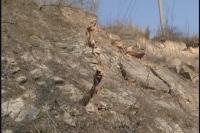 惊险|随县应急处置一起山体滑坡险情