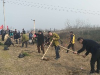 植树节我们在行动|随州广播电视台组织员工义务植树